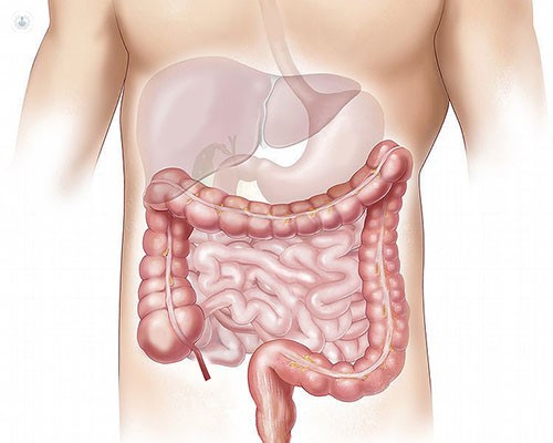 Double balloon enteroscopy facility